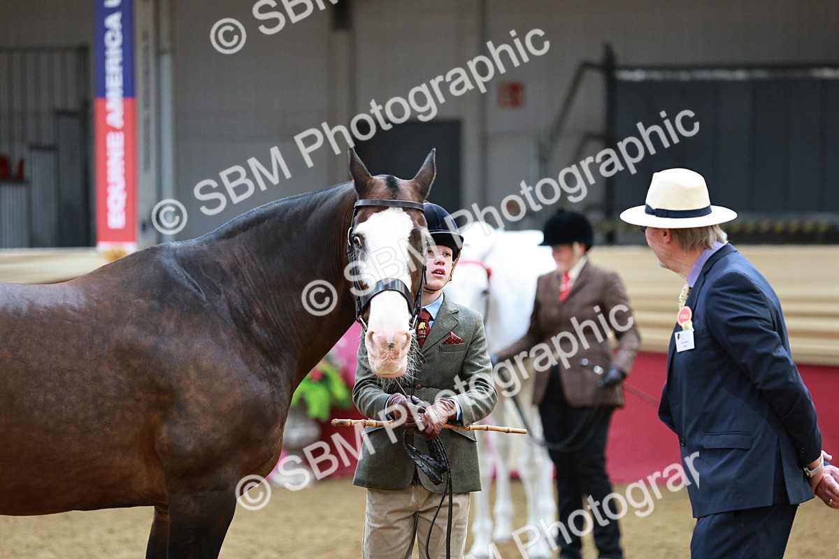 SBM_01251 - Class 3A - Area IH Pre-Vet
