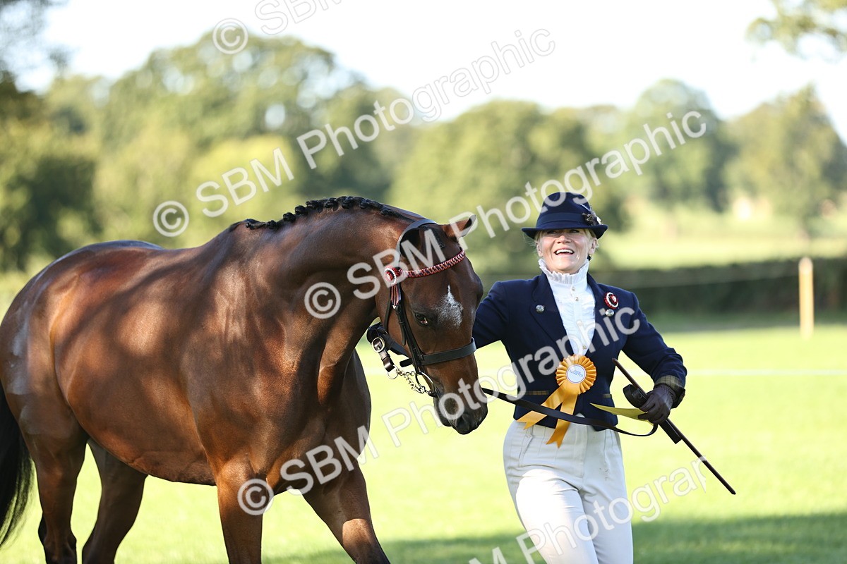 SBM_15802 - S1 - TSR in Hand Horse & Pony Showing
