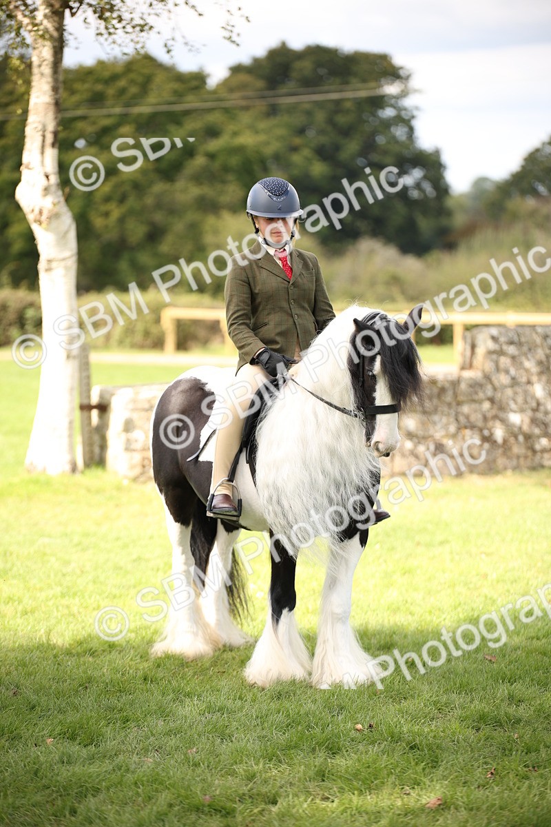 SBM_42382 - S13 - Pony Club Pony