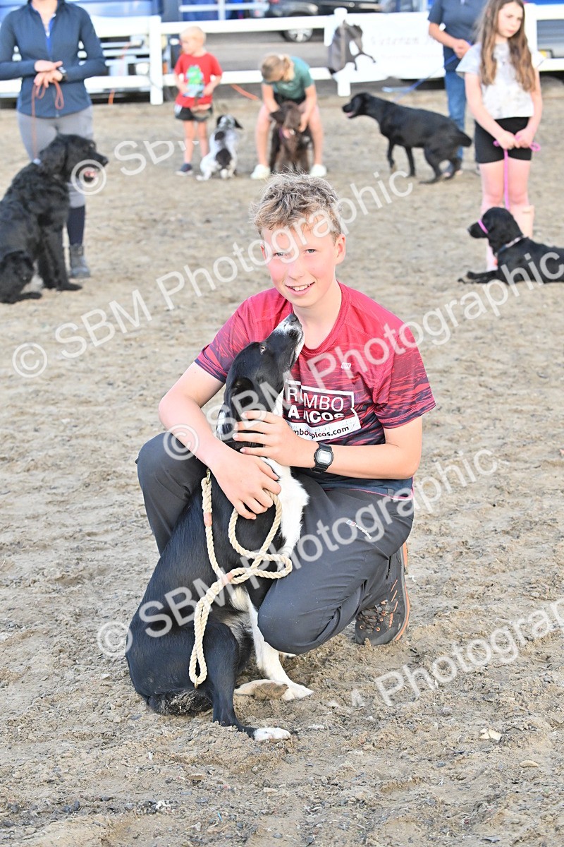 SBM_09630 - Lorry Dogs