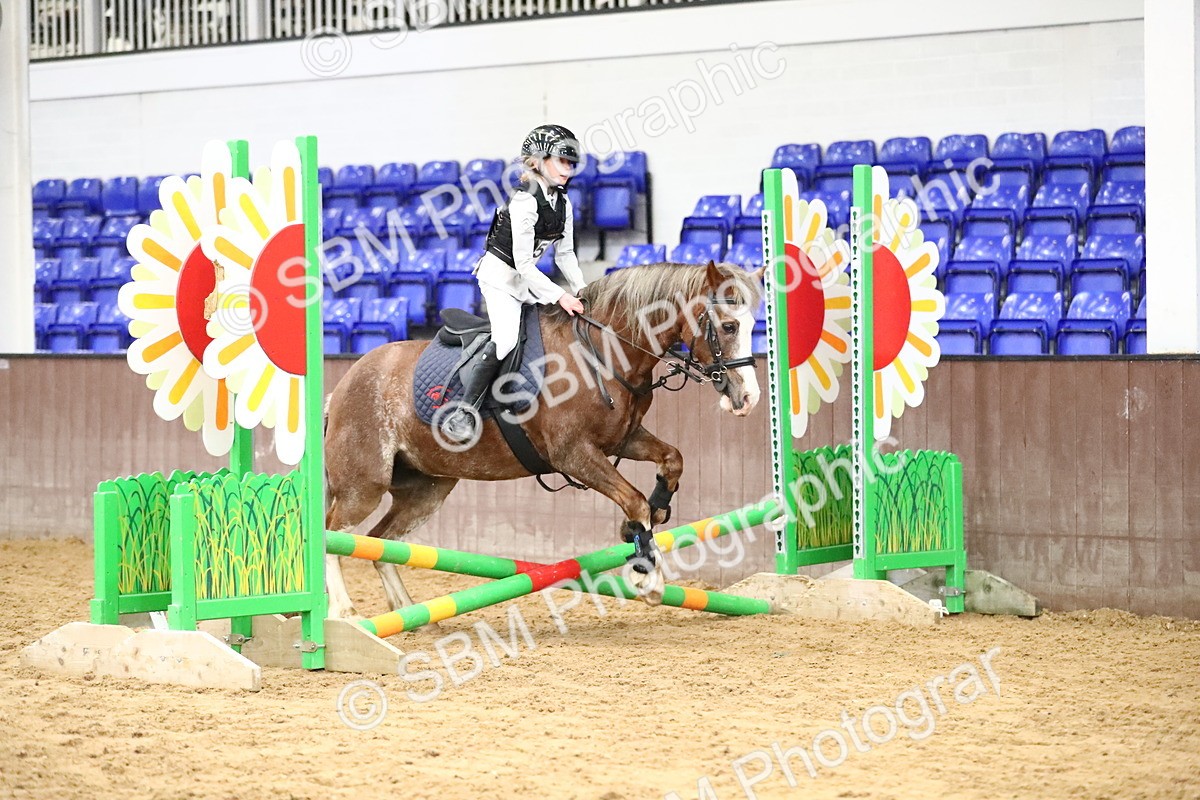 SBM_000744 - Class 2 - 40cm