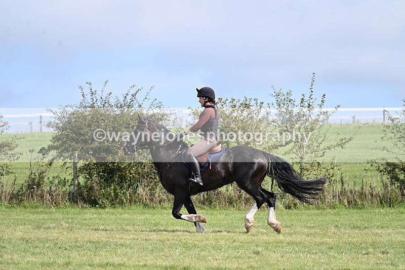 WJ7_6196 - Time 11:29 to 11:45