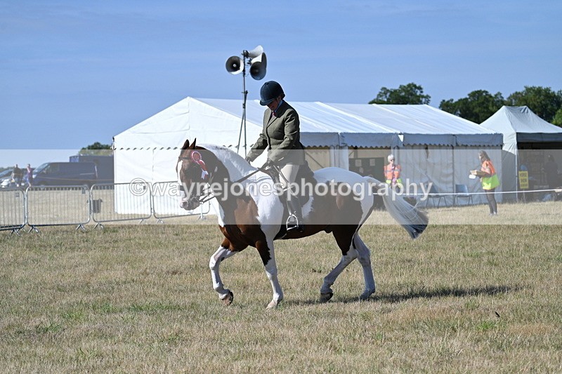 WJ7_3289 - Class 8 Ridden Tack & Turnout