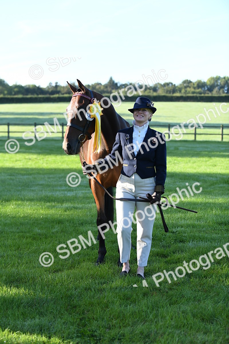 SBM_32851 - S15 - Condition & Turnout In Hand