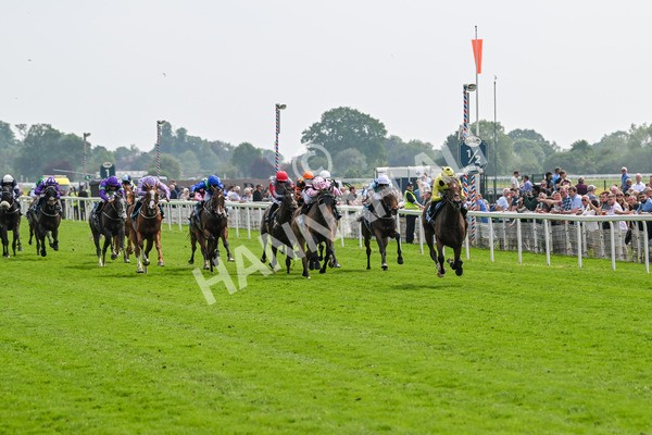 170524-Race 2-Botanical-7661 - Race 2 2.45pm Knights Solicitors Handicap
