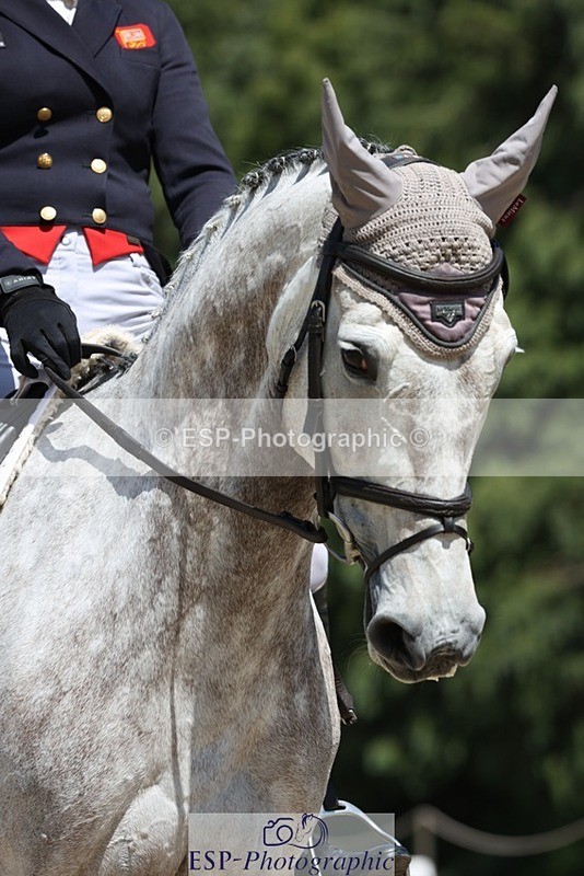 230526-133002-06337 - 366-KILMINGTON_FOLLY-Kristina_Cook-WEDTrotUp+DR