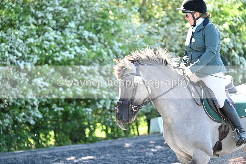 WJ7_9380 - Time 12:10 to 12:21