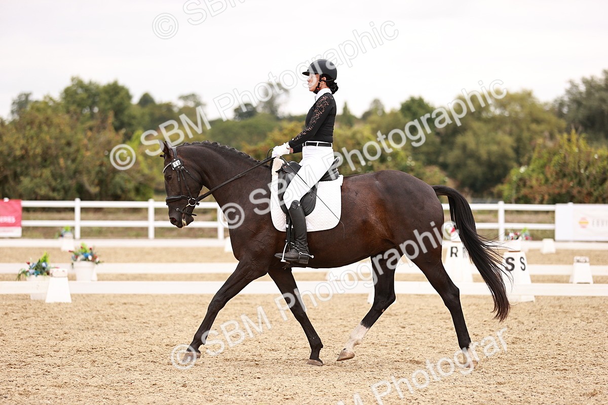 SBM_019801 - Class 19-21 - Elementary 6-Medium 6