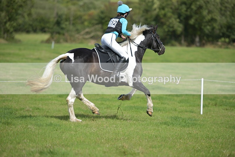 RAY_8653 - Class 2: Trekenning Open: Wall