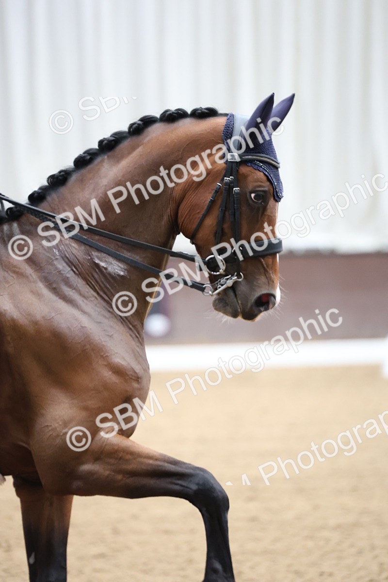 SBM_003892 - Class 8 - Advanced Medium 6 Silver