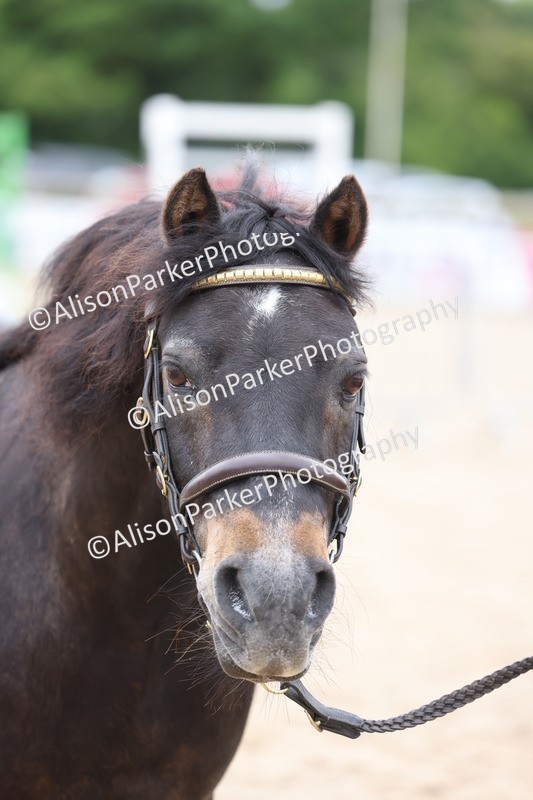 20250524-0751 - Class 7 - Veteran