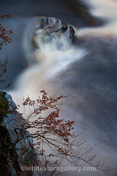  - NEW - Cascades