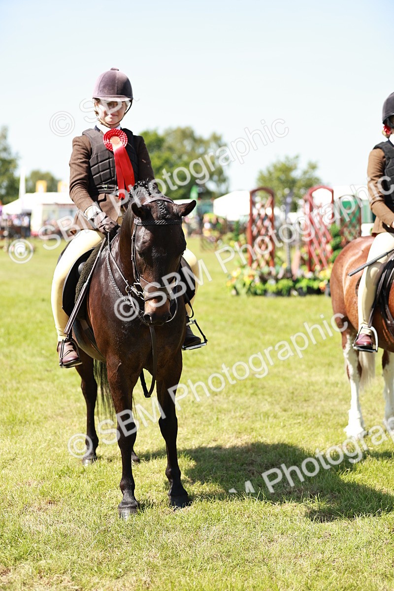 SBM_17657 - Class 112-113 - BSPS LIHS Working Sports Pony