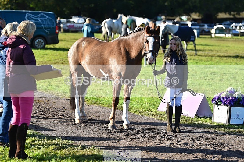 231022-100440-22228 - 432-DALEY-Oona.Gowan-TrotUp+SJ