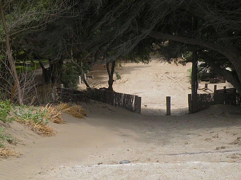  - Sea