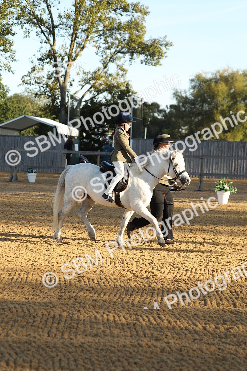 SBM_33588 - D26 - Starers - Lead Rein