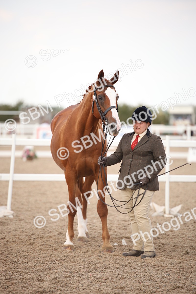 SBM_08254 - Class 27 - IH Competition Horse-Pony