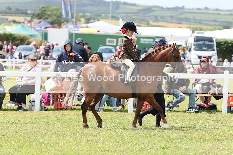 JPP_1639 - Cornish Combination Championship