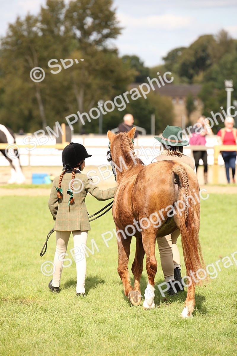 SBM_46349 - S25 - Mature Veteran In Hand