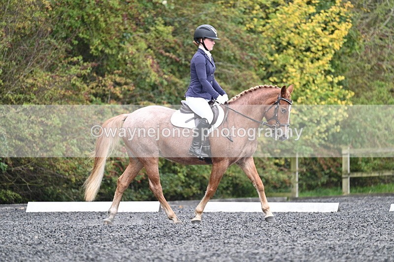 WJ7_3319 - Time 09:54 to 10:54