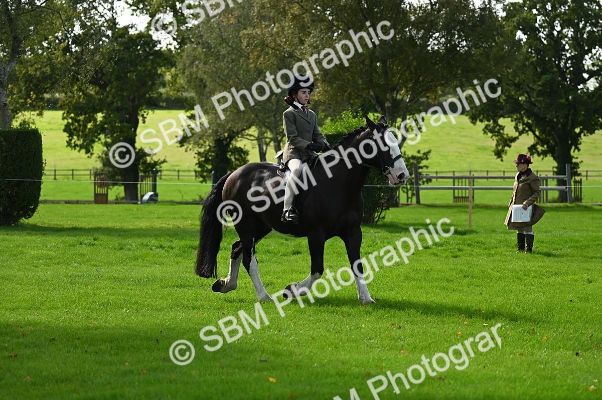SBM_02700 - S3 - TSR Ridden Pony Showing