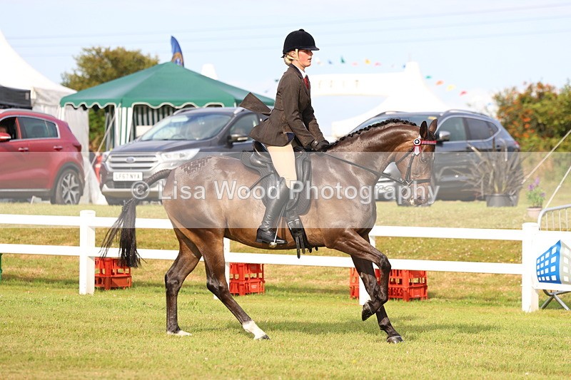 3E7A8037 - Class 2: Rising Star Large Hack/Riding Horse