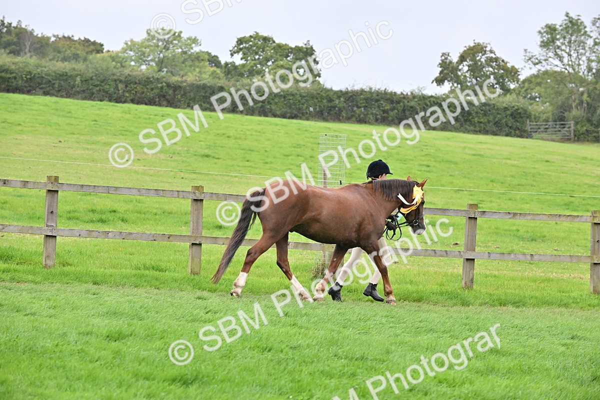 SBM_68665 - S42 - Junior Handler 9-12 Years