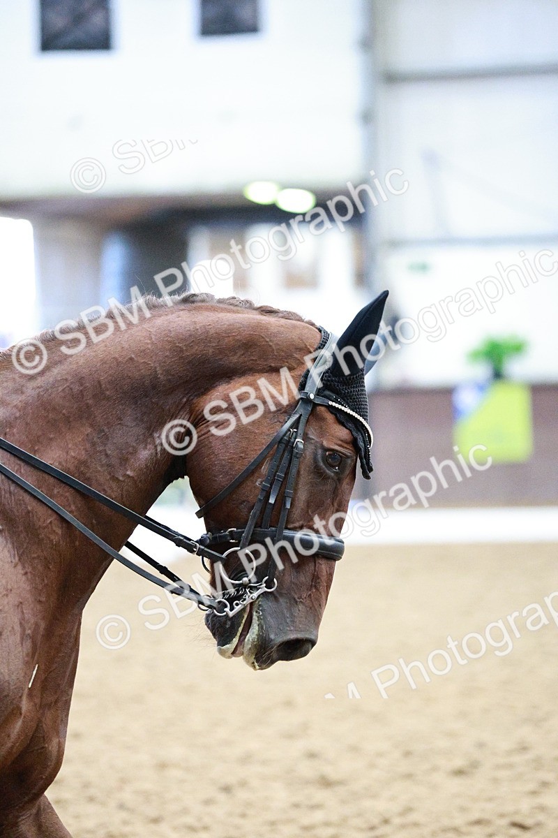 SBM_006653 - Class 16 - Advanced Medium 5 - 16.02-17.22