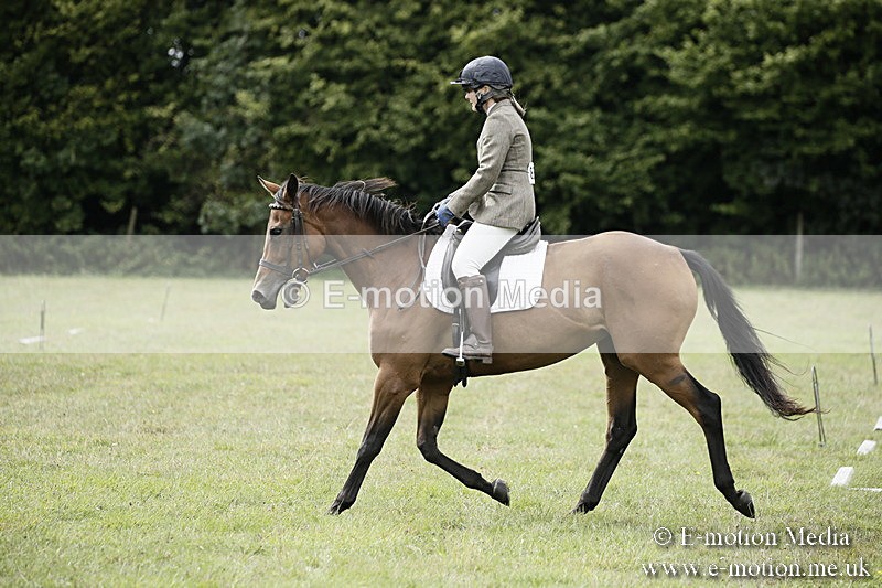 BVR080918 199 - BVRC Novice Dressage & CR 08/09/18