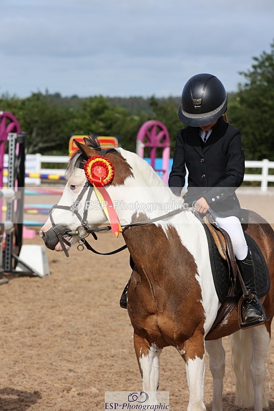 240629A-091544-02889 - Cls 16 British Novice and 80cm Open