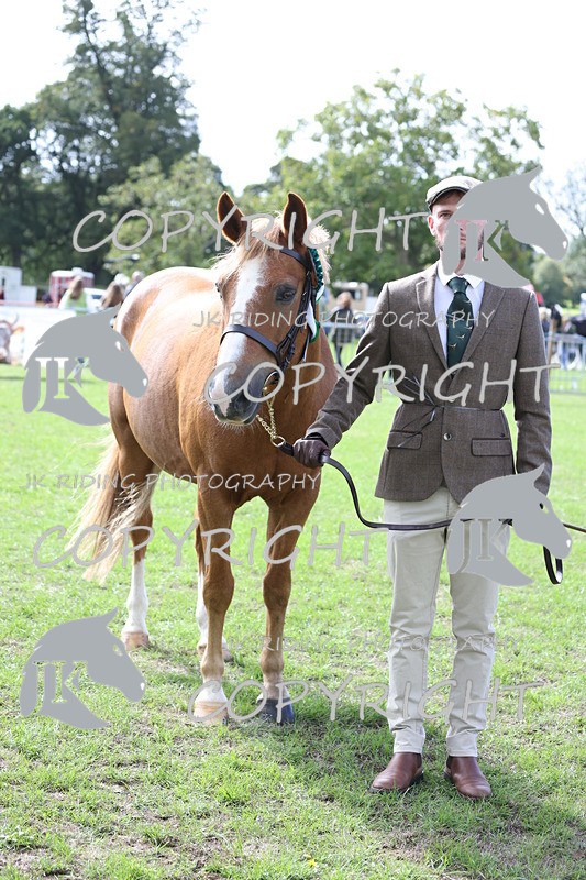 APP_2993 - Class 10a/b M&M in hand