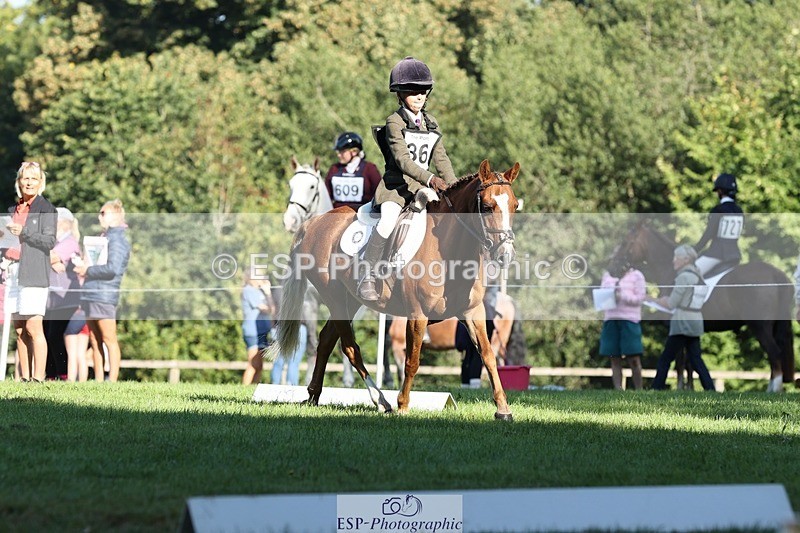 250823A-091846-25919 - Arena D