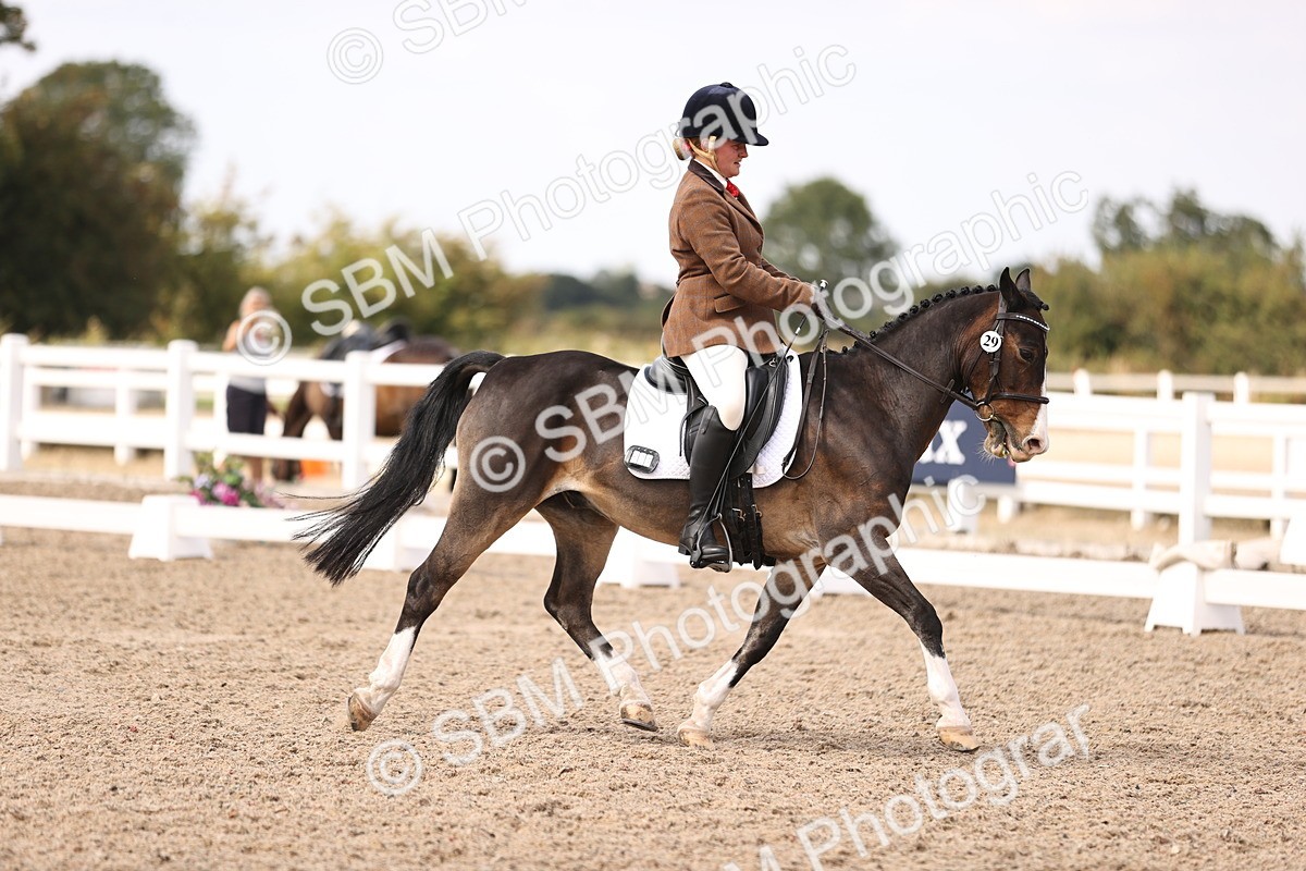 SBM_06064 - Class 37 Novice 5