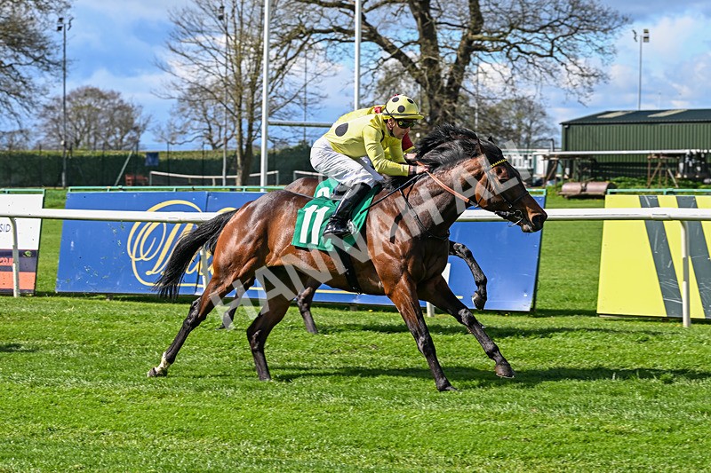 180426-Race 2-Inishbeg-9428 - Race 2