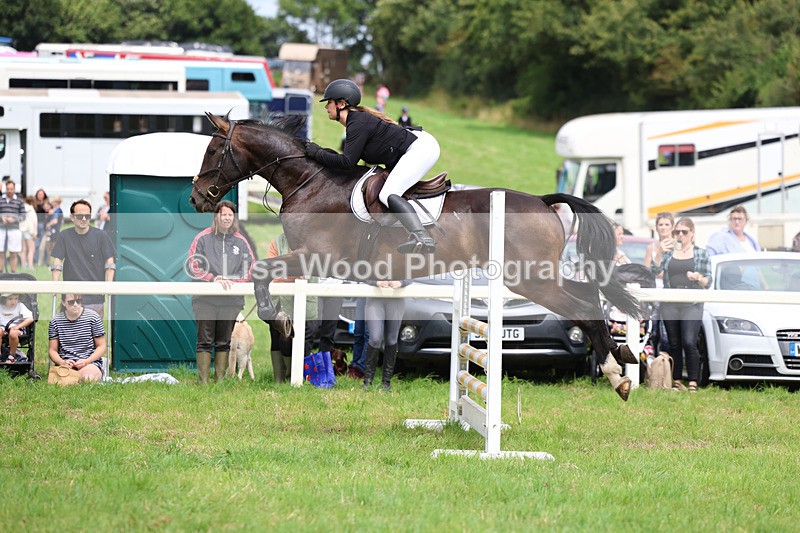 3E7A6914 - Class 5: Senior British Novice/90cm open