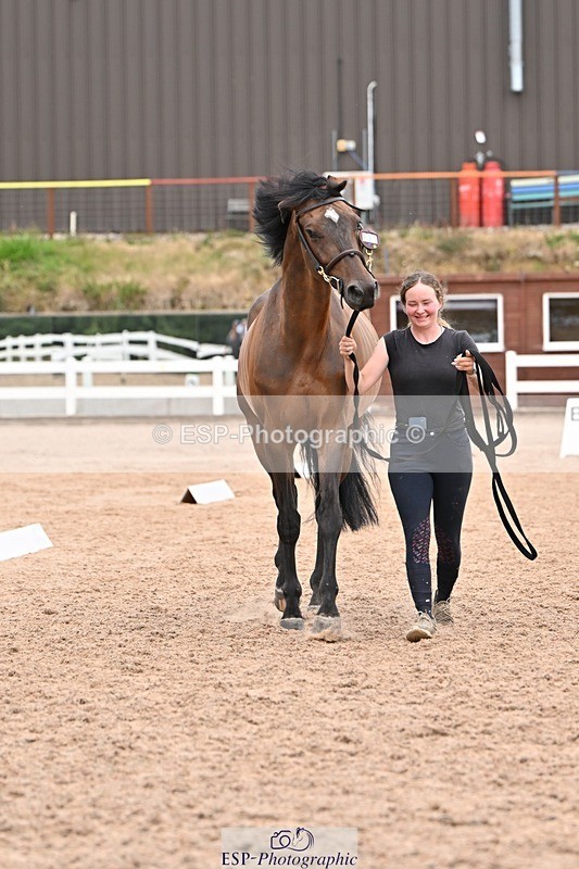 250716-155109-02232 - Trot Up 3.30 to 4.30