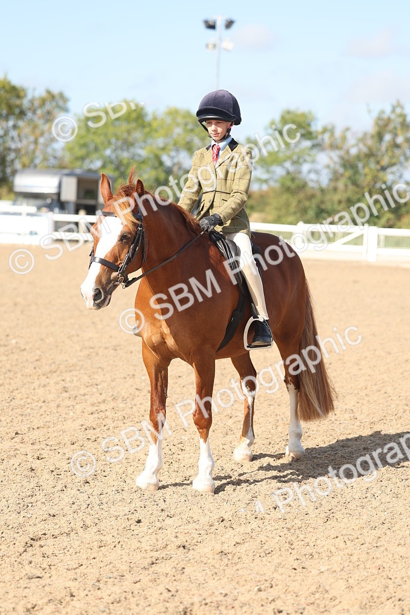 SBM_22627 - Class 804 - Ridden Veteran Pony