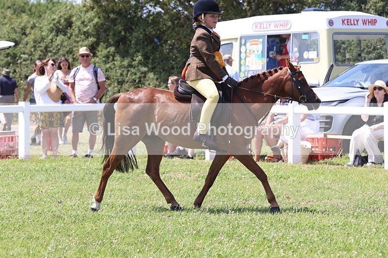 JPP_2399 - Class 20: Tiny Tots Working Hunter Pony
