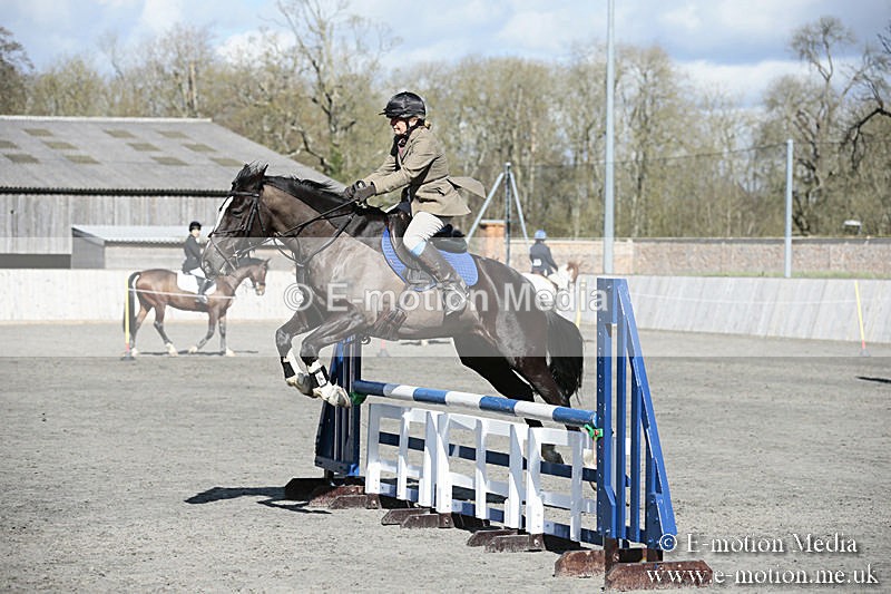 BVRC SJ 170319 529 - Bourne Valley Riding Club Showjumping 17/03/19