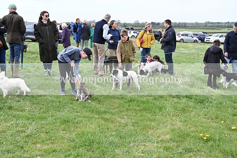 WJ6_8412 - Class 6 Best Rescue