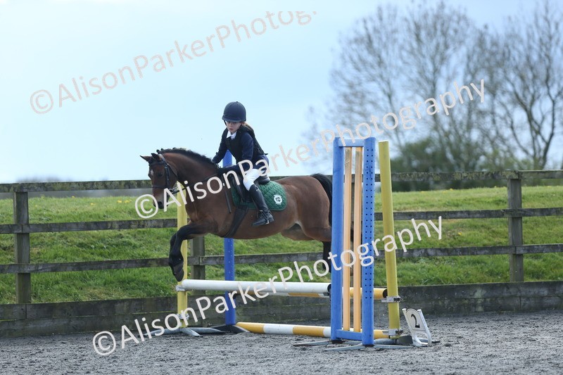 20260412-1787 - Show Jumping