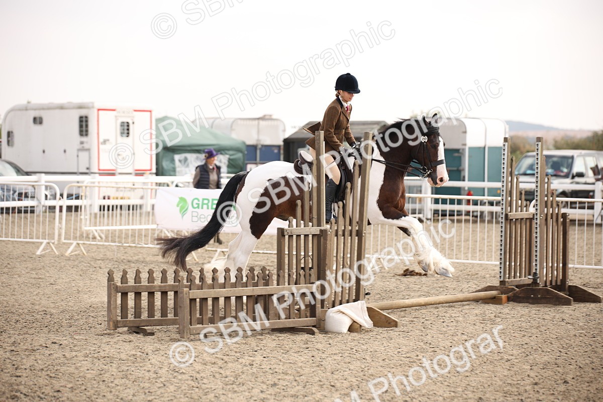 SBM_11670 - Class 404b Junior Working Veteran- 40cm(20+)