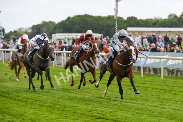 yr12052022r5-11 - Race 5 4.10pm British Stallion Studs EBF Westow Stakes