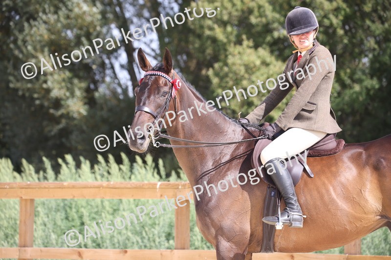 20260802-0729 - Class 8 - Best Riding Horse or Pony