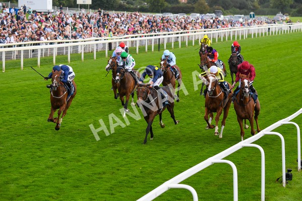 240823-Race 5-Sea Theme-0680 - Race 5 4.10pm British EBF & Sir Henry Cecil Galtres Stakes