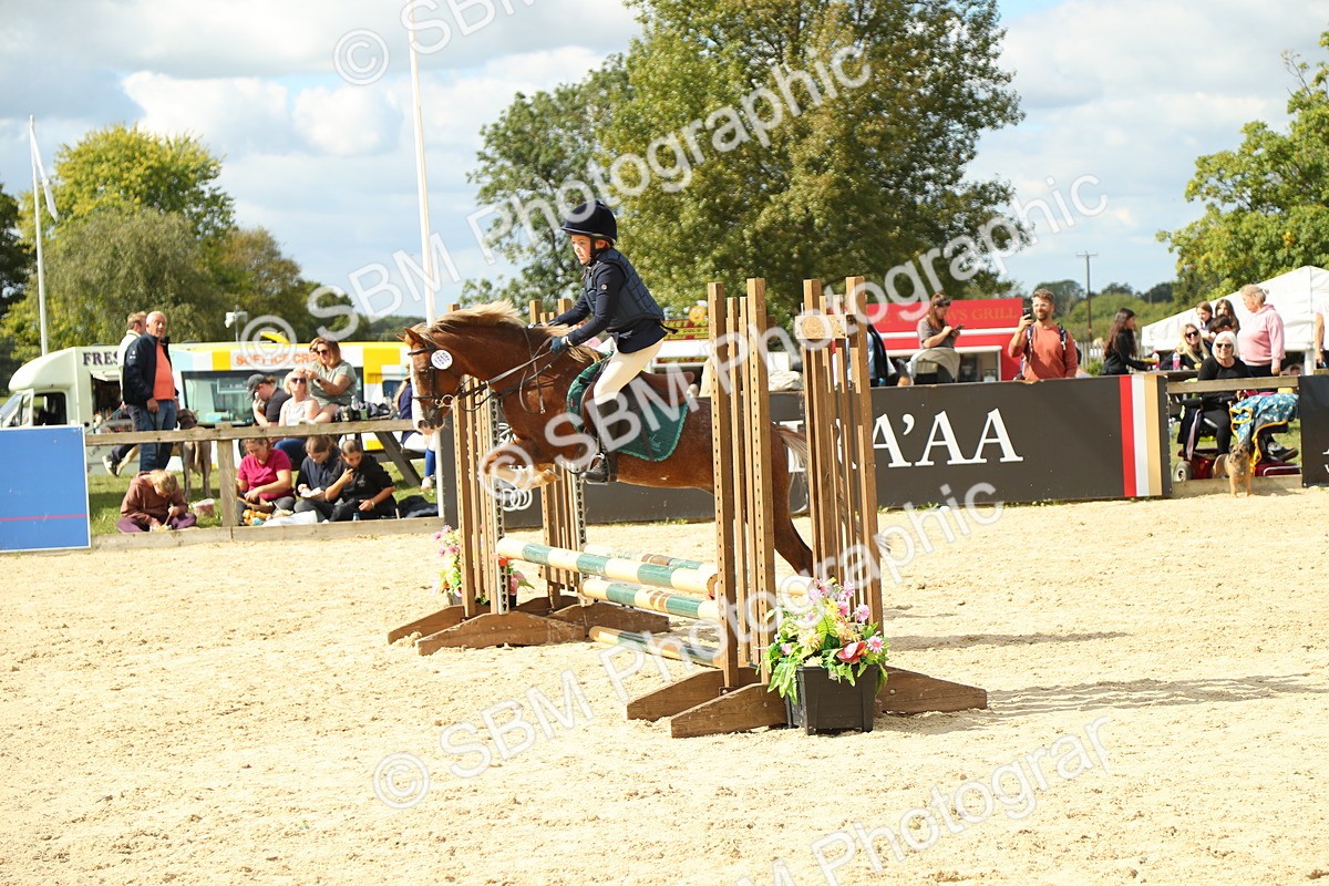 SBM_41379 - J6 - Junior Pony 55cm Championships