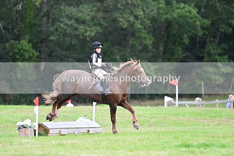 WJ7_7498 - 40cm Time 10:27 to 10:47