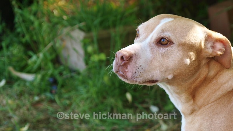  - solo & group portraits