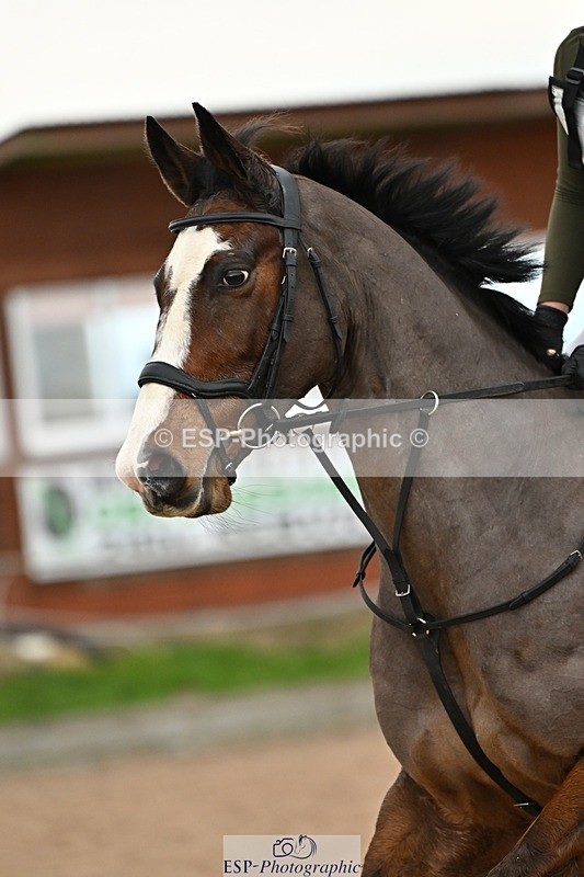 241215-132112-00998 - 90cm