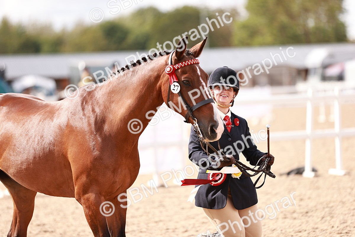 SBM_14242 - Class 407 - IH Hack Riding Horse